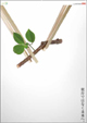 �i���j�|�b�v�R�[���@POPCORN Inc.