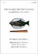 �@����w�@Hosei University